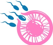 조루의 상징이 토끼라고...천만의 말씀!