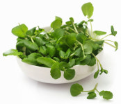 모어베지샐러드(More Vege Salad) | 美CDC가 영양가 100점 준 '이 채소'... 샐러드에서 봤구나