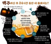 “자꾸 한 잔 더”… 맥주 마시면 내 몸에 무슨 일이?