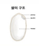“밥이 보약이라고?”…더 특별한 무엇이 있다