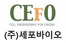 세포바이오, 골세포치료제 ‘CF-M801’ 유럽 희귀의약품 지정