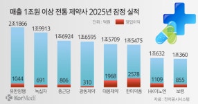 전통 제약사 매출 1조원 이상 8곳... HK이노엔 첫 진입