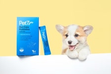 차바이오F&C, 반려동물용 ‘펫세븐 장 케어 유산균’ 출시