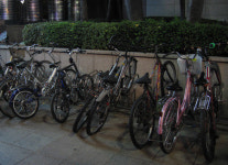 자전거를 타고 오시면 5~10% 할인해 드려요