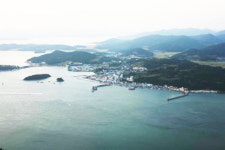 외면 받았던 마량항에 관광객이 북적이는 이유