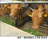 품질 좋은 한우와 젖소, 개량 노하우 엿보기