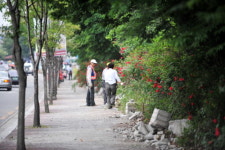 대학 담장을 허무니 생긴 것들