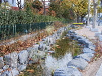 서울 대학로에 흐르는 실개천에 가보니