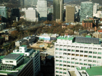 옥상에 ‘나무 3200그루’ 키우는 시청