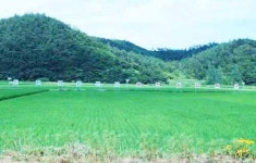 ‘친환경 농업 1번지’ 옴천면에 가보니