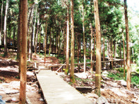 ‘알몸산림욕장’ 들어설 우드랜드 가보니