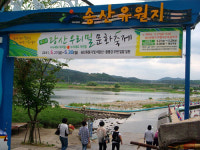 푸르른 밀밭 물결 넘실~