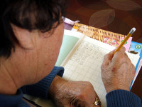 일흔 어르신께 딸기 농사 배우는 환갑의 막내