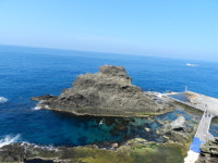 “해양경찰 같은 듬직한 아들 낳아 키우렵니다”