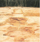 「고흥 운대리 분청사기 요지」사적 지정 예고