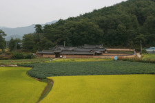 「안동 귀봉종택, 안동 번남댁」 중요민속문화재 지정