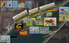 ‘마산만 봉암갯벌’ 습지보호지역 지정