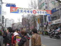 봄꽃 향기 맡으러 ‘종로 꽃시장’으로 가볼까!