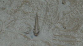 ‘순천만’ 널 위해서라면 모든 걸 양보할 수 있어!