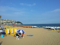 알고가자 해운대!…해수욕장 속 숨은 정책들