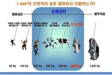 꿈의 소재 ‘탄소섬유’ 전주가 선점했다