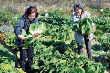 텃밭에 각종 채소…“농사꾼 다 됐어요”