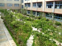 숲과 연못이 있는 학교…아이들 정서가 달라진다