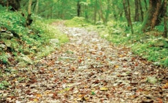가을은 구룡령을 넘어 남대천에 흘러…가버린다