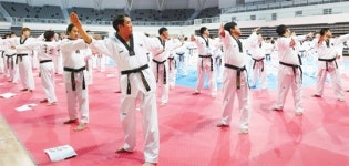 태권도원의 모든 것