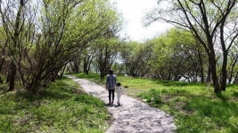 남들 퇴근할 시간에 저는 아이와 오솔길을 걷습니다