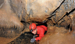 ‘HAPPY 700’…평창에 살어리랏다