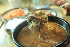 숲·바다에서 힐링…청정자연 속 여유를 즐기다
