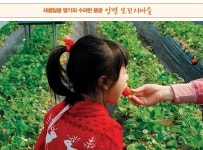 딸기 따고 떡 만들고 가족과 함께 ‘오감 만족’