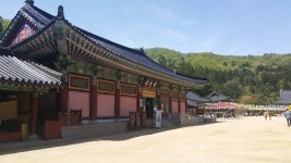두 눈 가득, 청록색을 담아오다!