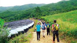 “자연미 으뜸 K-정원, 또 다른 한류 주인공이죠”