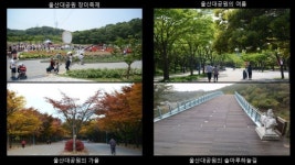 코리아 둘레길, 해파랑길 울산구간을 가다