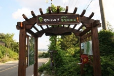 올해 목표, 평화누리길 종주!