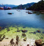 그날의 승전보처럼…옥포바다 시원한 파도소리