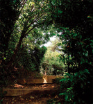 그날의 승전보처럼…옥포바다 시원한 파도소리