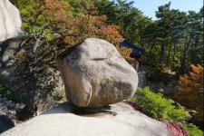 설악산 단풍길에 빨갛게 핀 이야기꽃