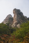 설악산 단풍길에 빨갛게 핀 이야기꽃