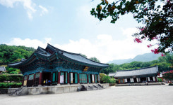 생태 수도 순천 여행 BEST 5