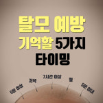 탈모 예방을 위해 기억할 5가지 타이밍