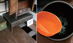 강을 타고 꽃을 담다…광양 가는길