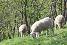 황태가 익어간다~ 속이 풀린다~