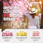 걷기 좋은 꽃길, 꽃축제