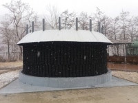 남쪽에 벚꽃 필 때, 정선에 눈벚꽃 폈다~