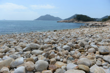 현대사의 아픔, 길섶 풀·바닷가 몽돌은 안다