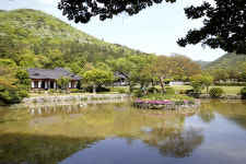 ‘예향’ 진도는 아직 웁니다
