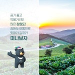 강원도에 가면 꼭 먹어봐야 할 음식 8가지